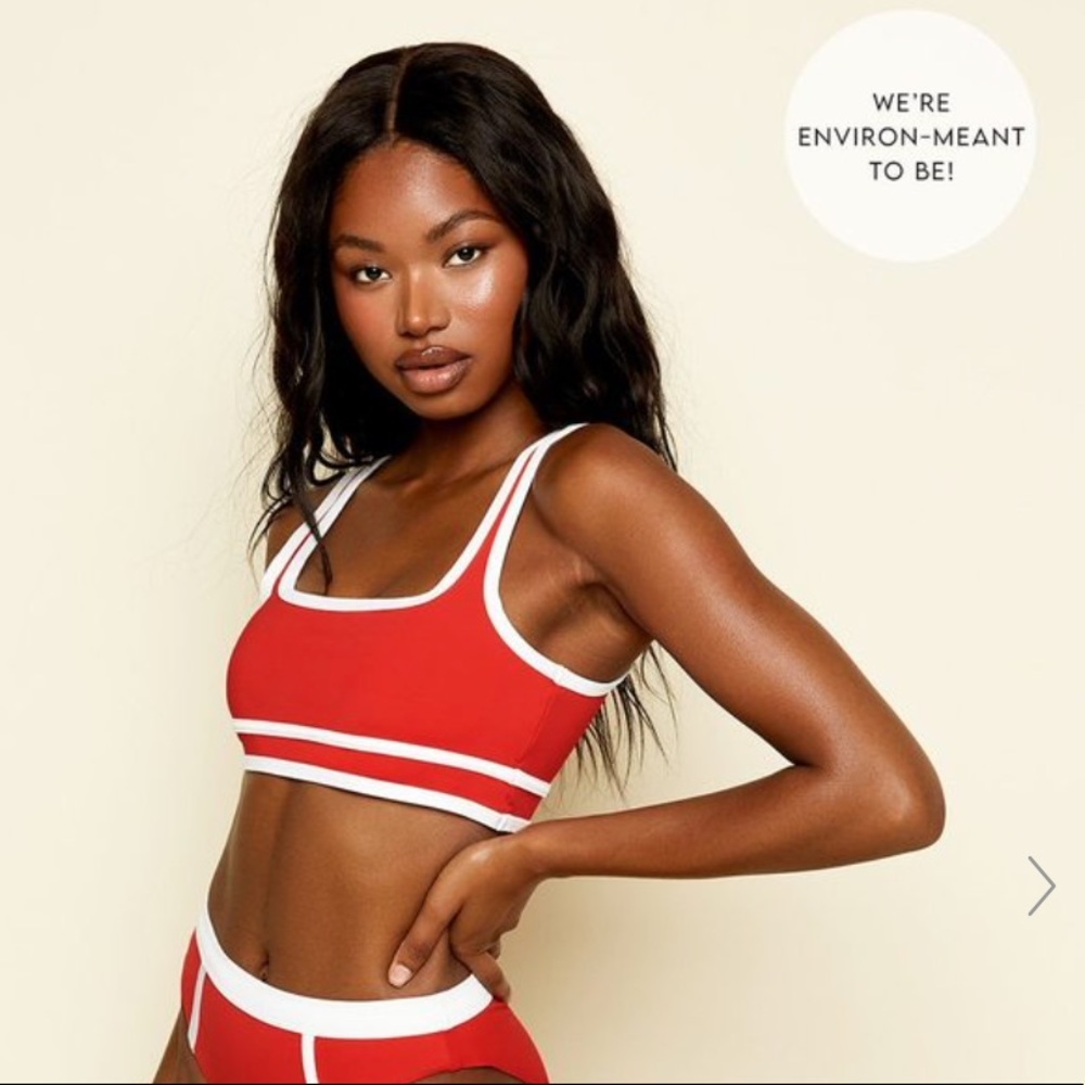 BRAND NEW DIPPIN DAISY’S BIKINI TOP